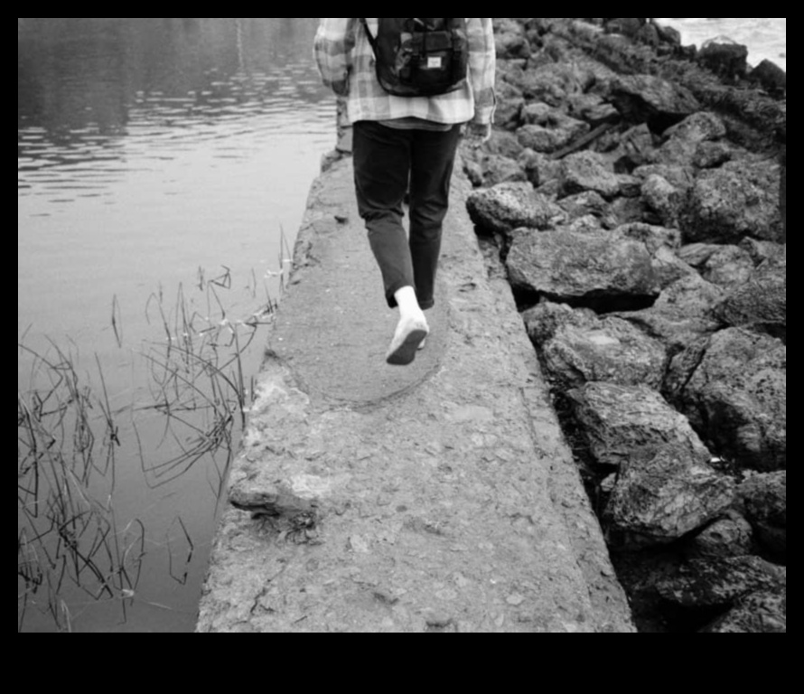 Koncentrējieties uz pilnību: uzlabojiet savu fotografēšanas darbu tūlīt