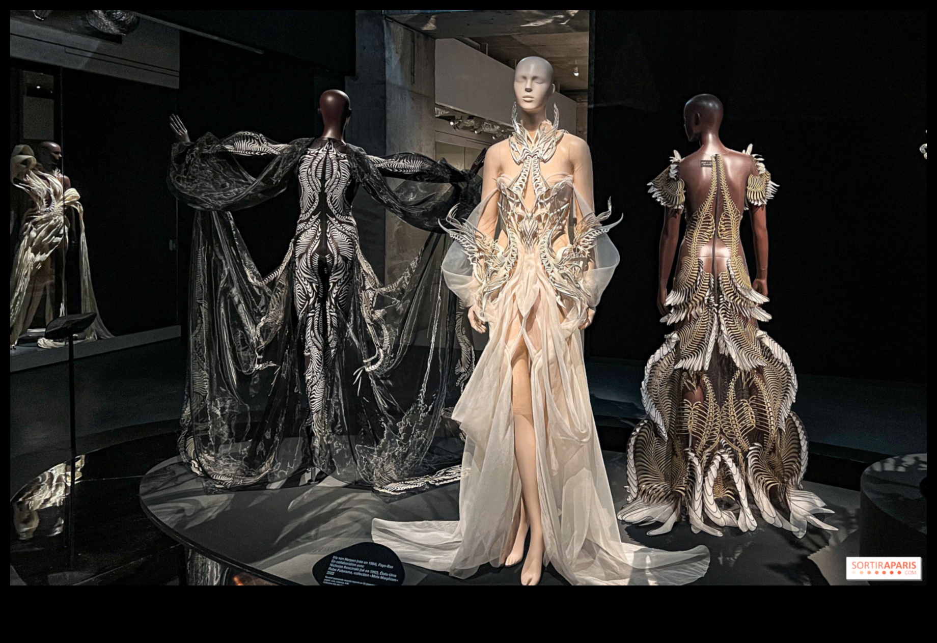 Augstais mantojums: vizuāls ceļojums modes tveršanā