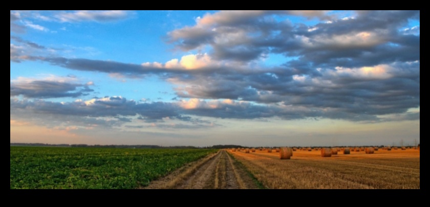 Inovatīvas robežas: zaļo tehnoloģiju ainavas veidošana