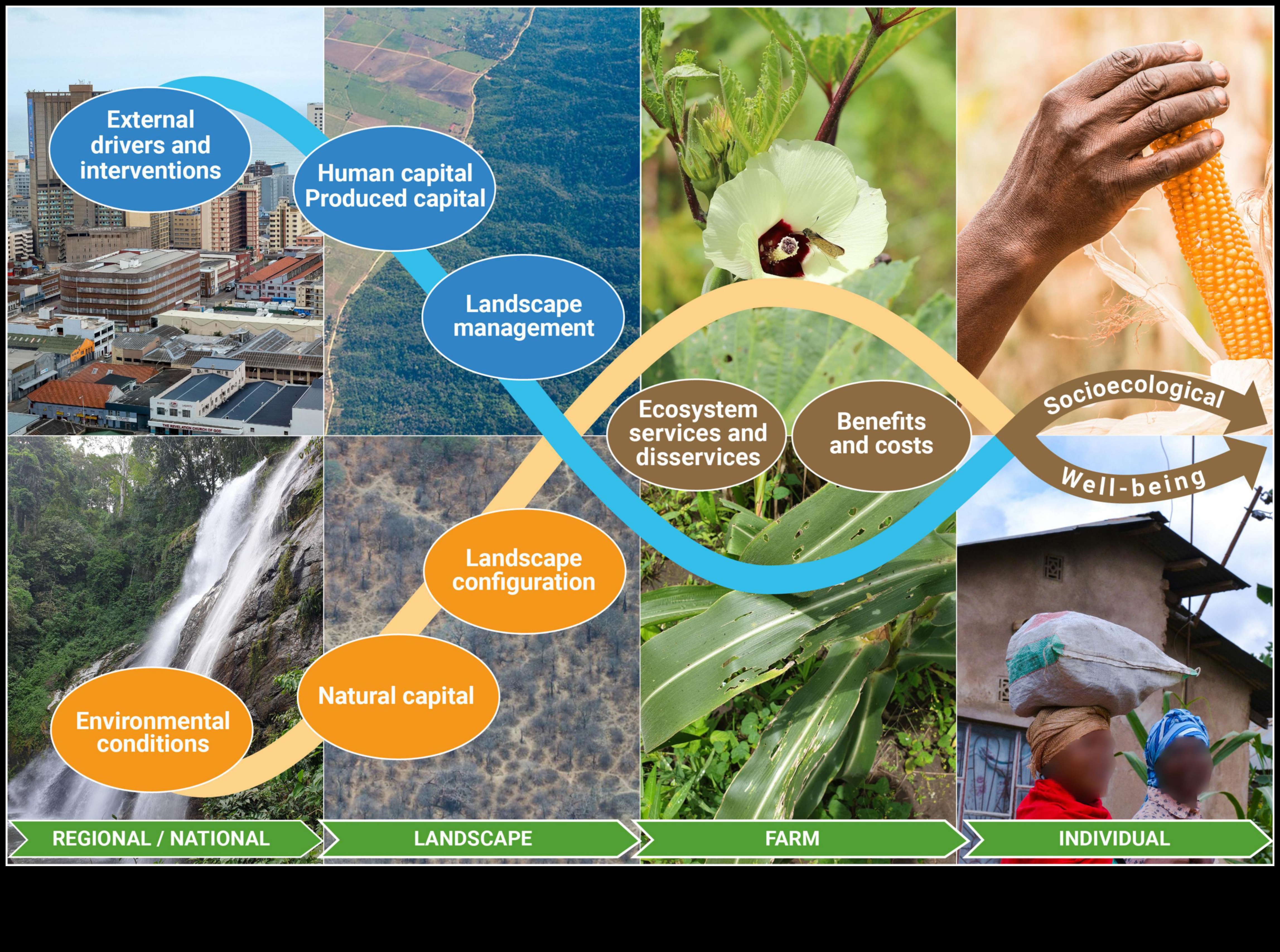 Inovatīvas robežas: zaļo tehnoloģiju ainavas veidošana