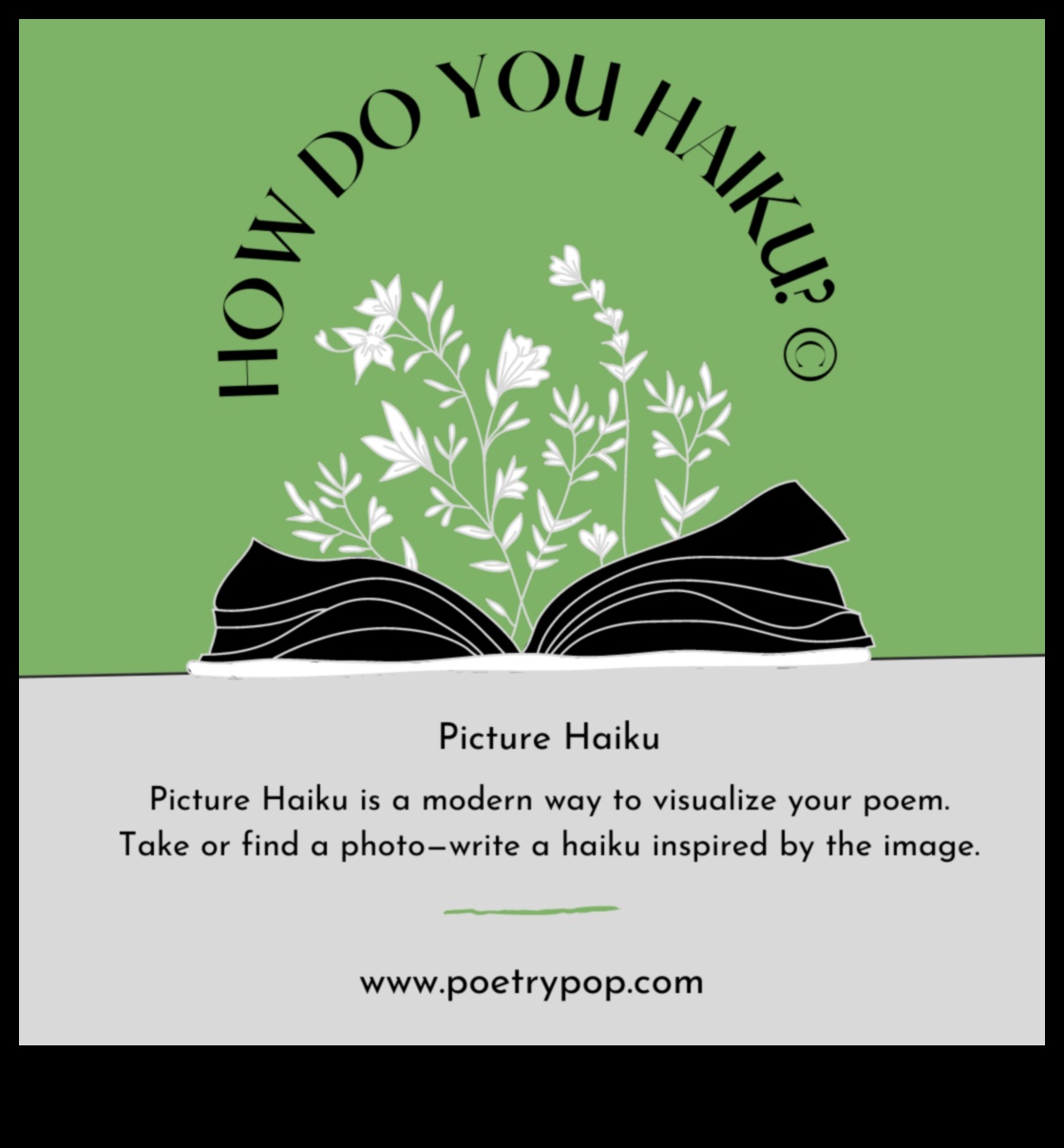 Attēlu dzeja: vizuālo haiku veidošana fotogrāfijā