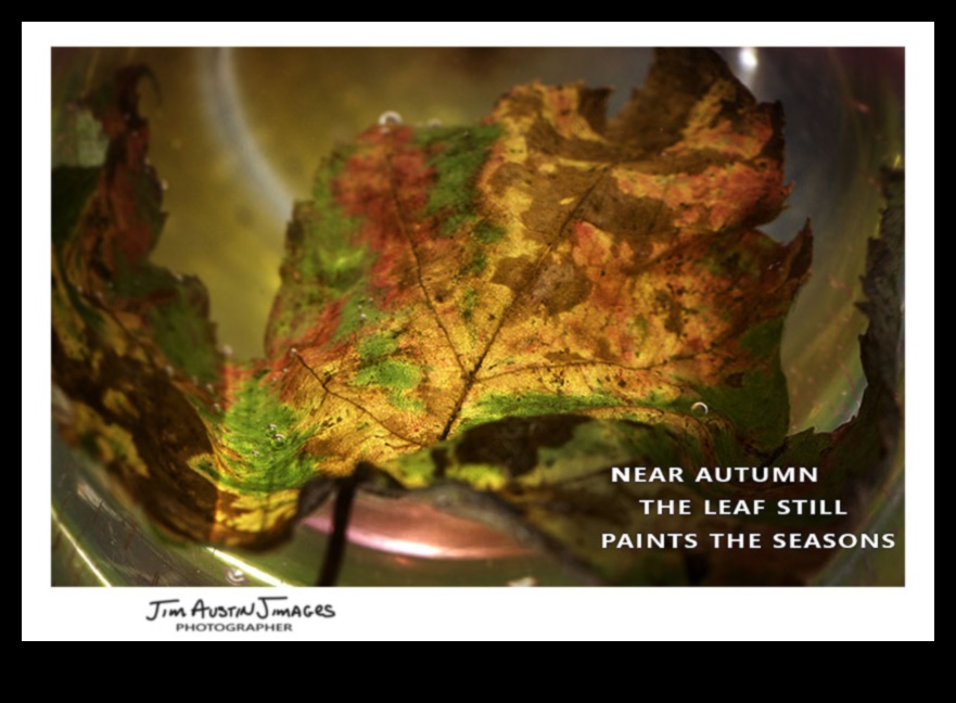 Attēlu dzeja: vizuālo haiku veidošana fotogrāfijā