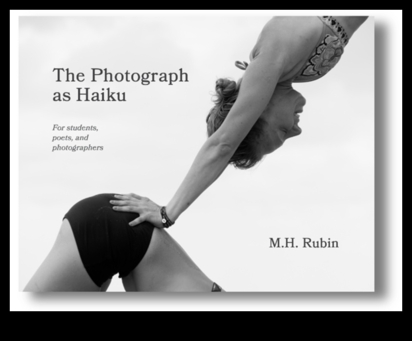 Attēlu dzeja: vizuālo haiku veidošana fotogrāfijā