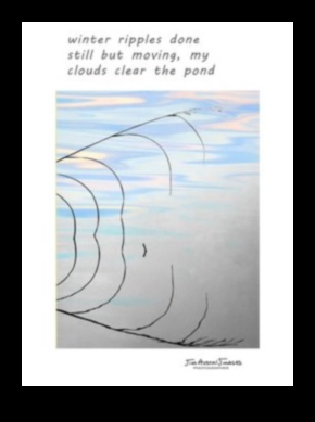 Attēlu dzeja: vizuālo haiku veidošana fotogrāfijā