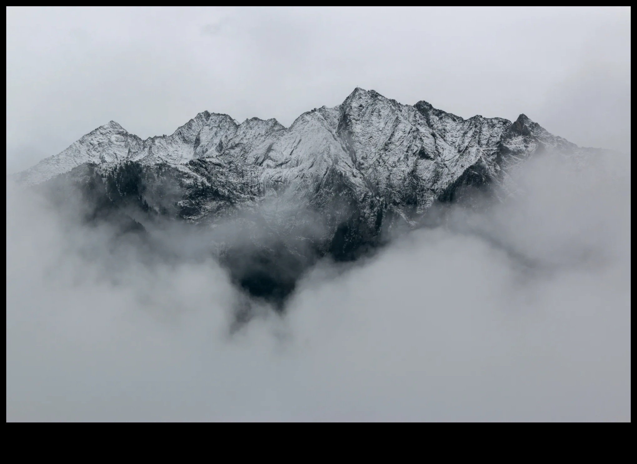 Makro mistika: maza mēroga fotogrāfijas noslēpumu atklāšana