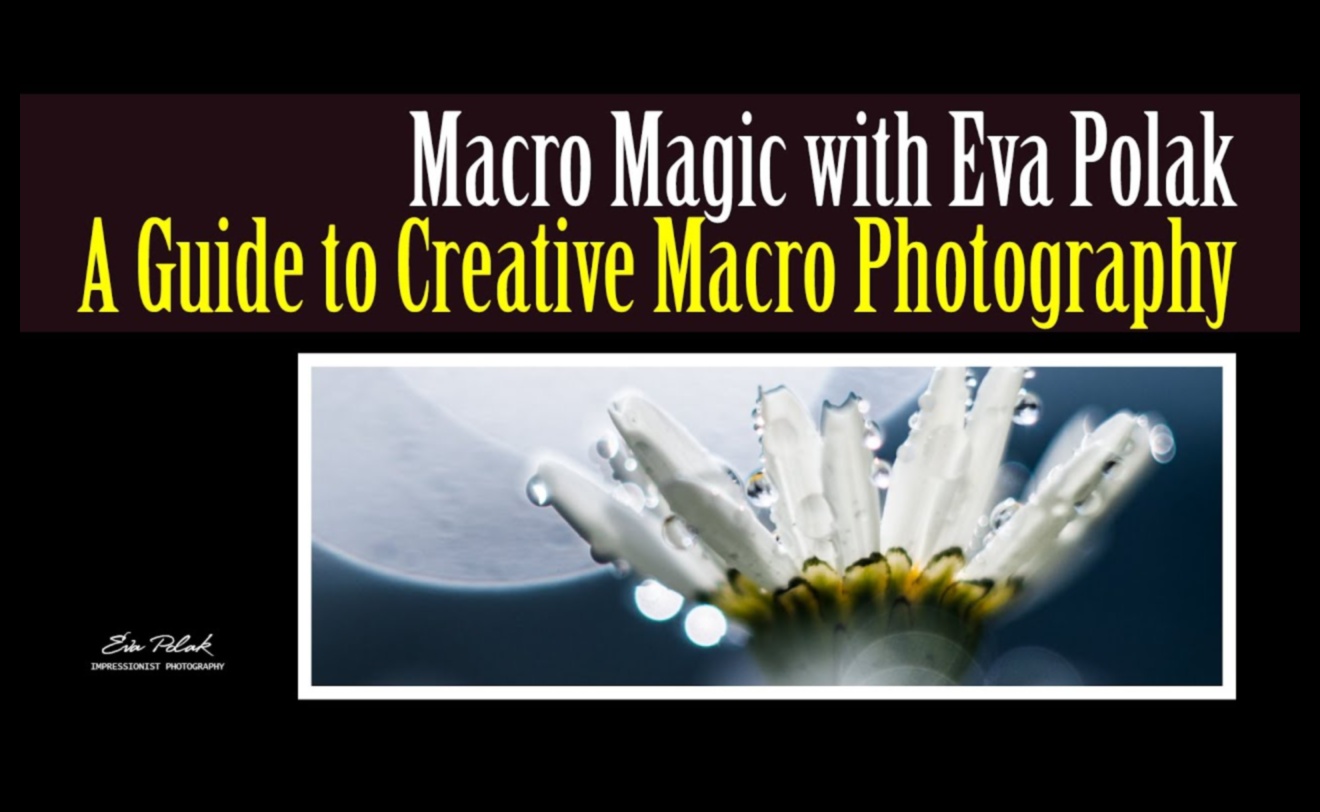 Makro mistika: maza mēroga fotogrāfijas noslēpumu atklāšana