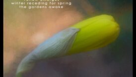 Attēlu dzeja: vizuālo haiku veidošana fotogrāfijā