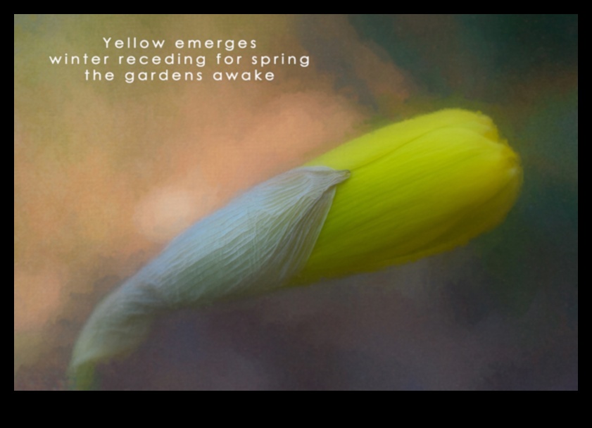 Attēlu dzeja: vizuālo haiku veidošana fotogrāfijā