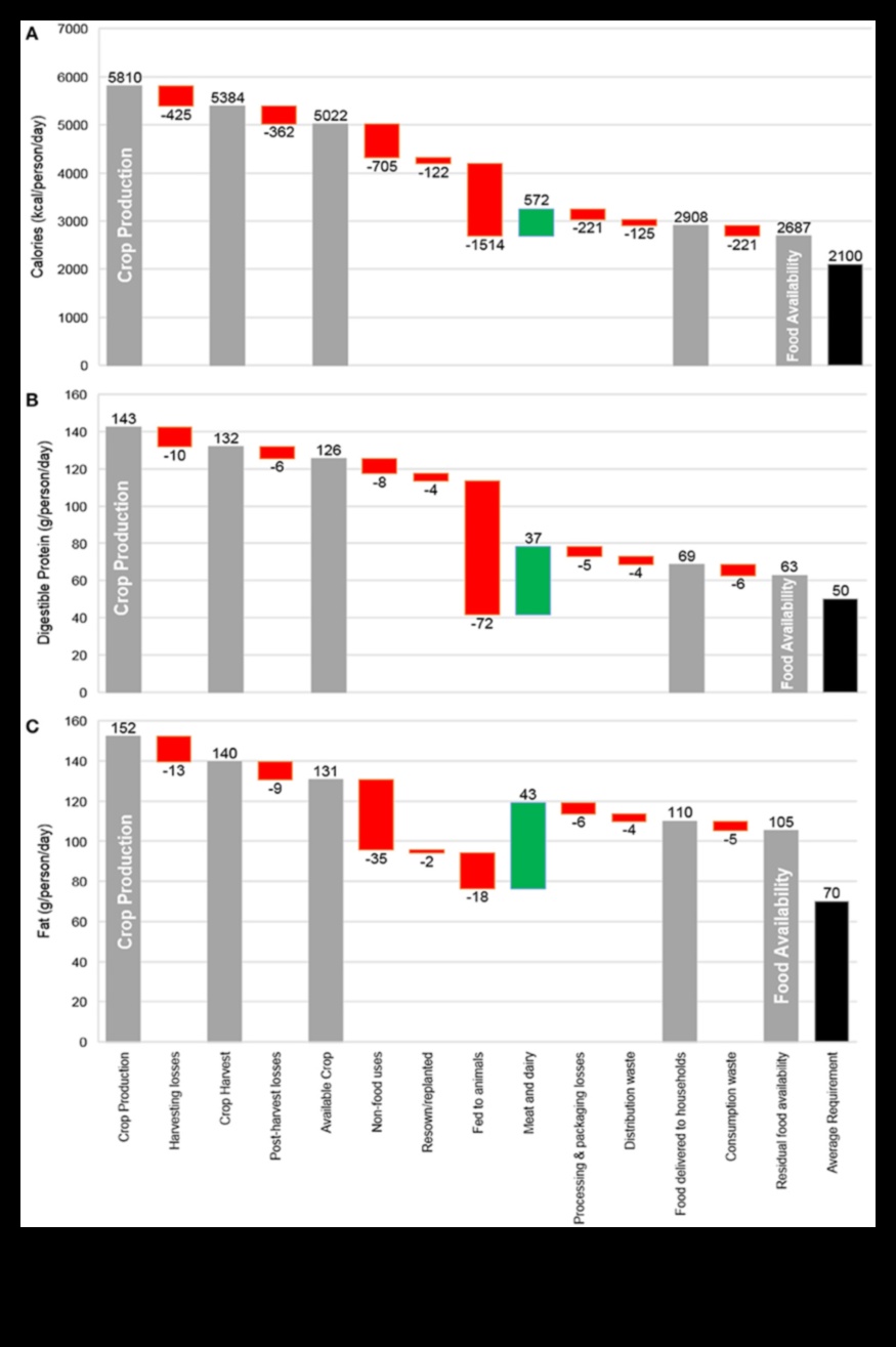 Beyond Calories The Hidden Nutritional Value of Foods4