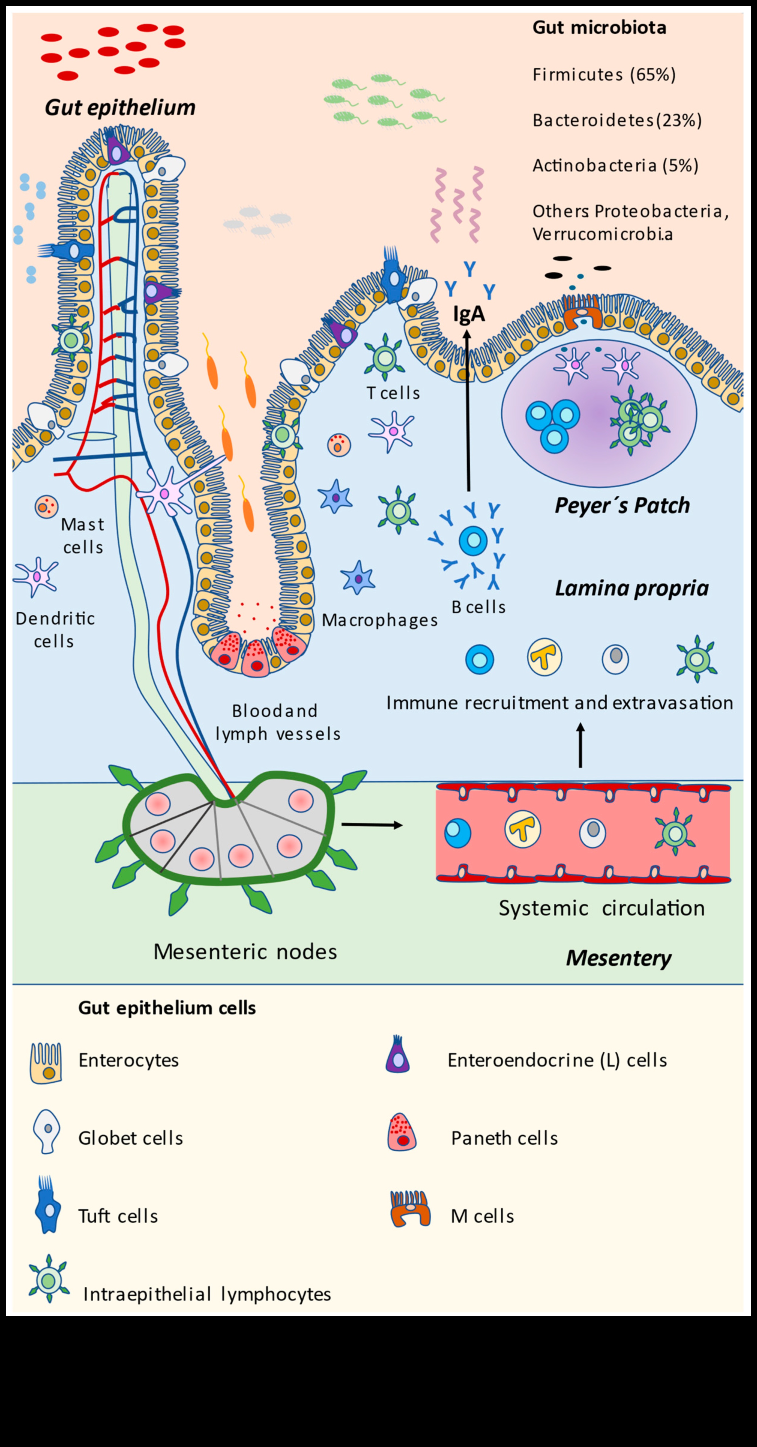 Šūnu harmonija: Uztura bioķīmijas deja labklājībai