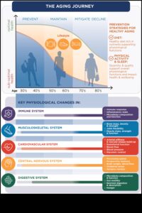Gudrības šķīvis: kulinārijas izcilības izpēte geriatriskā uztura jomā