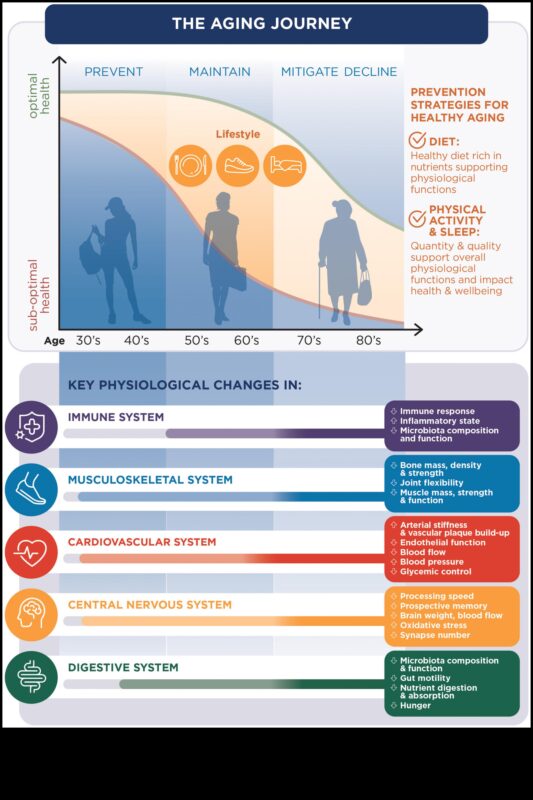 Gudrības šķīvis: kulinārijas izcilības izpēte geriatriskā uztura jomā