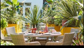 Tropu tēmas dekors mierīgai gaisotnei