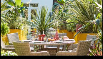 Tropu tēmas dekors mierīgai gaisotnei